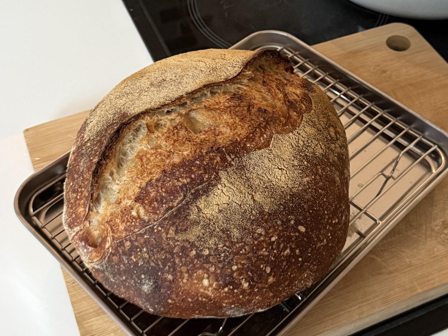 Whole sourdough loaf with a deeply browned crust cooling on a wire rack